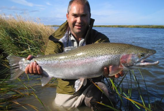 Alaska Rainbow Trout