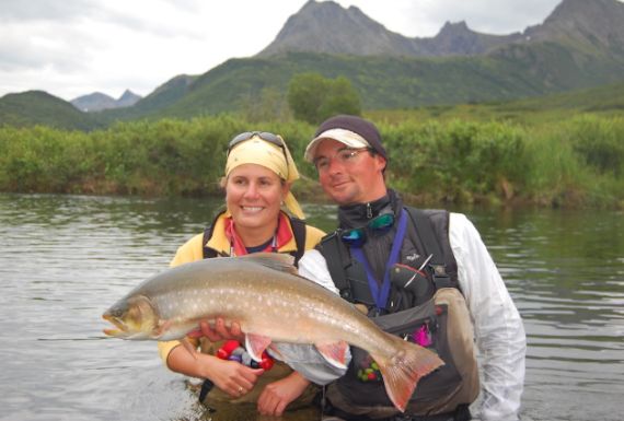 Alaska Arctic Char